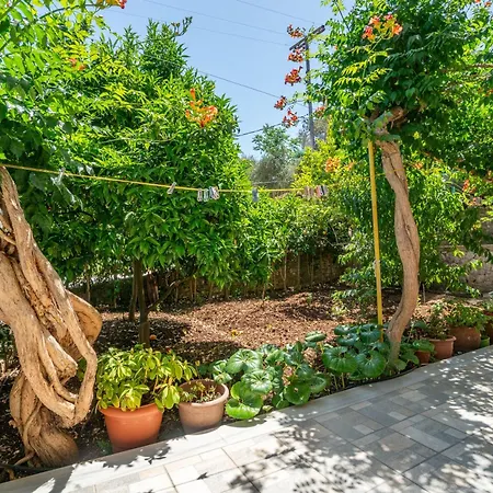 Captain Spiros Picola