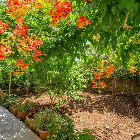 Captain Spiros Picola Apartament